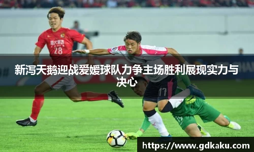 新泻天鹅迎战爱媛球队力争主场胜利展现实力与决心